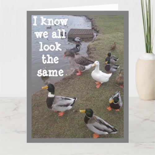 DUCK SAYS YOU STAND OUT IN A CROWD CARD