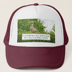 DUCK SITTING ON HEDGE/IF IT LOOKS LIKE A DUCK, WAL TRUCKER HAT