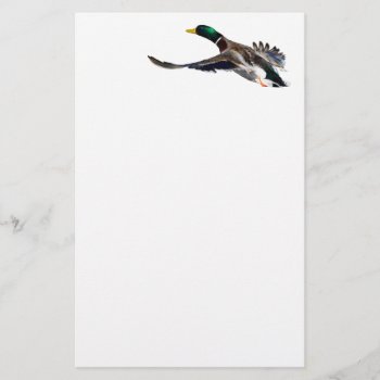 Duck Stationery by WorldDesign at Zazzle