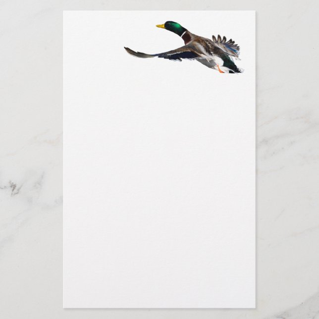 duck stationery (Front)