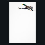 duck stationery<br><div class="desc">mallard duck in flight... ... Using amazing, unique, and high-quality images of wildlife and nature, WorldDesign is dedicated to creating fun and beautiful products for people to enjoy, share, and promote as gifts. We are a Zazzle Elite ProDesigner and own the copyright to all the images presented and ALL of...</div>