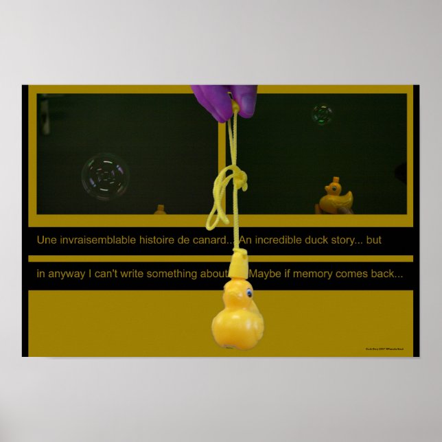 Duck Story ou une invraisemblable histoire Poster (Front)