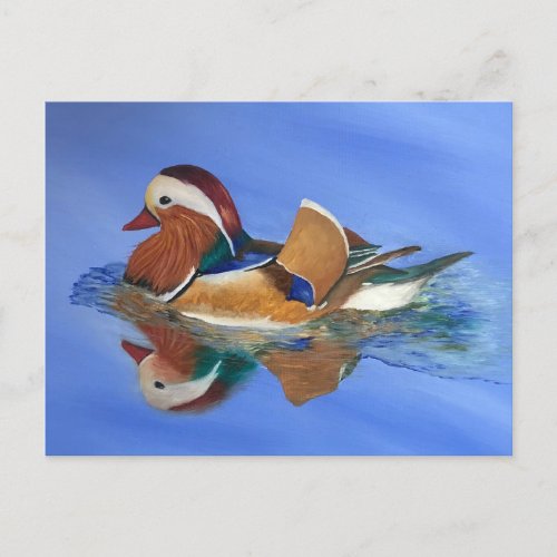 Duck Swimming JW Postcard