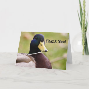 Duck Thank You Card