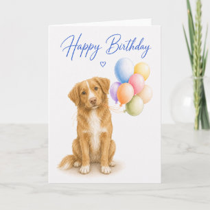 Duck Tolling Retriever Birthday Card