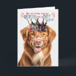 Duck Tolling Retriever Queen Day Funny Birthday Card<br><div class="desc">This Nova Scotia Duck Tolling Retriever dog is happy to send birthday wishes to their queen dog mom on her birthday.</div>