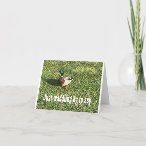 DUCK WADDLES BY TO SAY HAPPY BIRTHDAY CARD