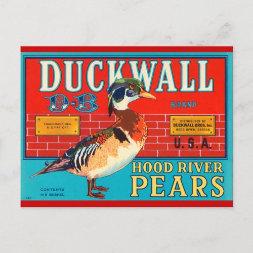 Duck Wall Hood River Pears Vintage Advertisement Postcard