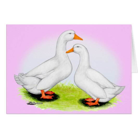 Duck: White Pekins Cards (Front Horizontal)