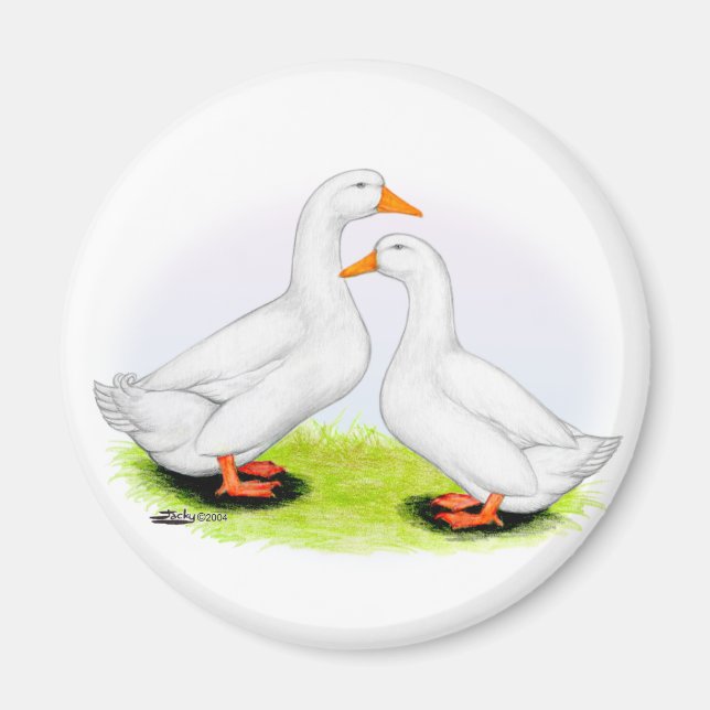 Duck:  White Pekins Magnet (Front)