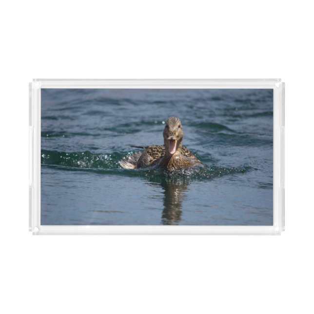 Duck with beak open                  acrylic tray (Front)