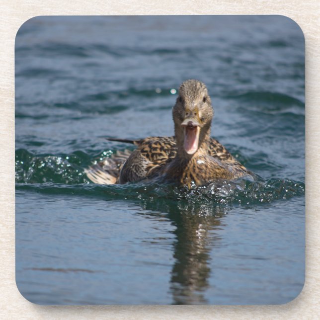 Duck with beak open beverage coaster (Front)