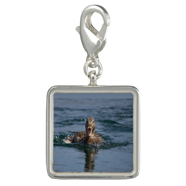 Duck with beak open        charm (Front)
