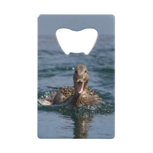 Duck with beak open credit card bottle opener
