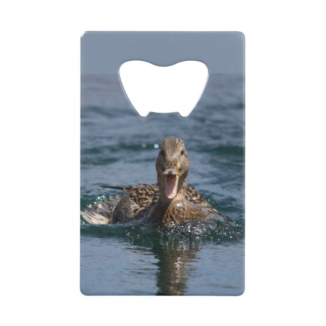 Duck with beak open   credit card bottle opener (Front)