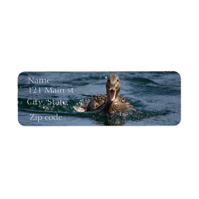 Duck with beak open label (Front)