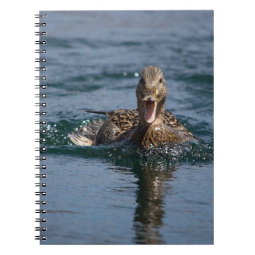 Duck with beak open                  notebook