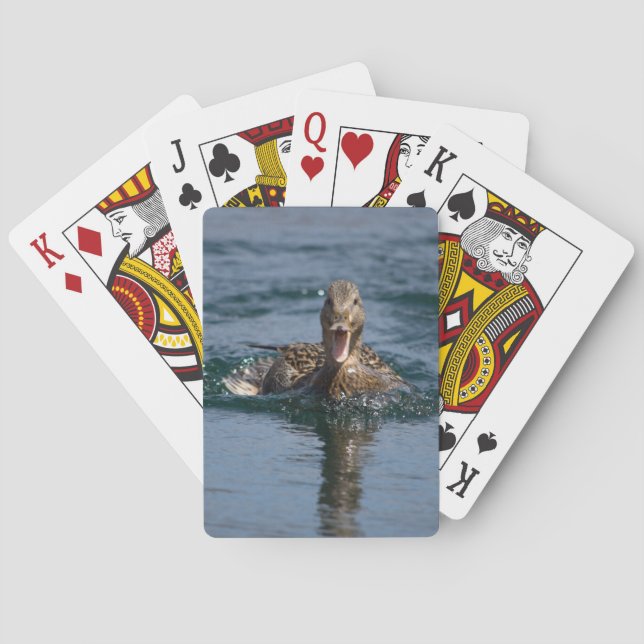 Duck with beak open                   poker cards (Back)