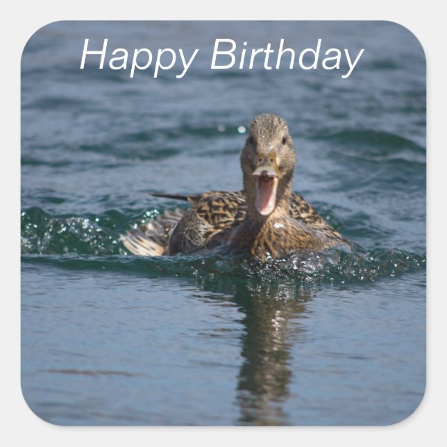 Duck with beak open square sticker (Front)