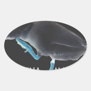 Duck with I Woke Up Like This & Hakuna Matata Text Oval Sticker