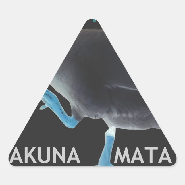 Duck with I Woke Up Like This & Hakuna Matata Text Triangle Sticker (Front)