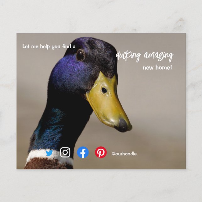 duck wonderful awesome real estate agent marketing flyer (Front)