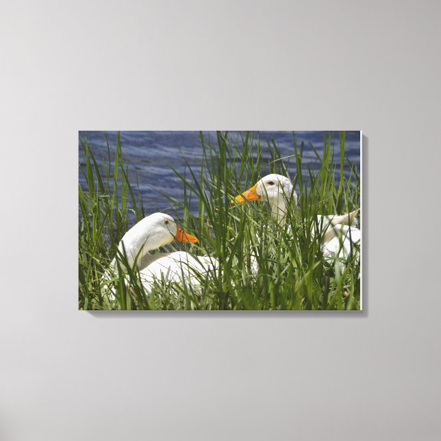 Duck Wrapped Canvas Print (Front)