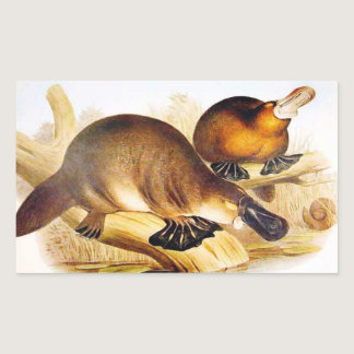 "Duckbilled Platypus" Rectangular Sticker