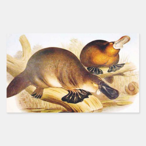 Duckbilled Platypus Rectangular Sticker