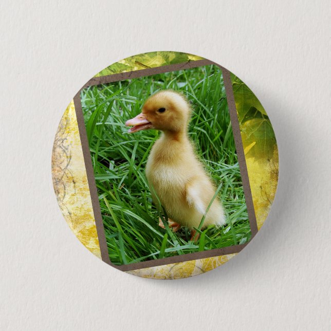 Ducking in the Grass Button (Front)