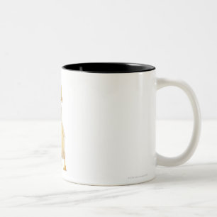 Duckling (1 week old) Two-Tone coffee mug