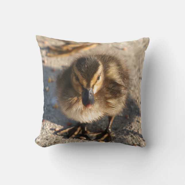 Duckling Baby Duck Bird Wildlife Animal Pillow (Front)