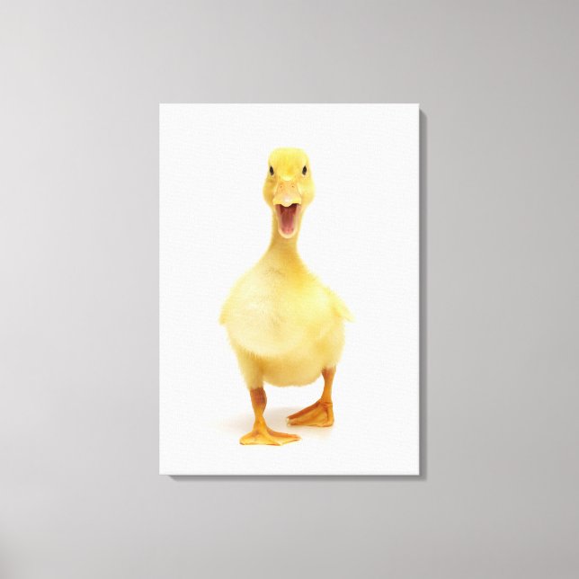 Duckling Canvas Print (Front)