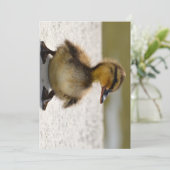 Duckling Card (Standing Front)