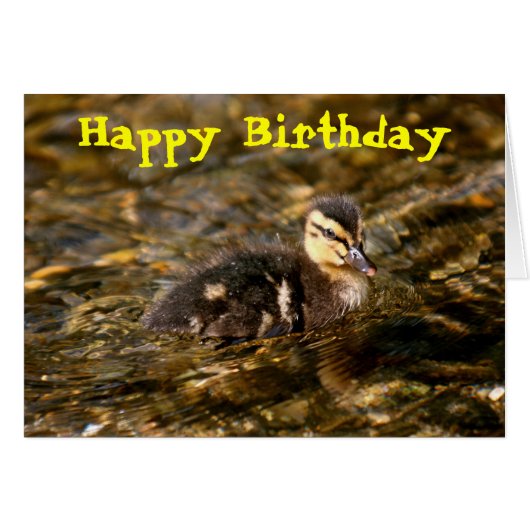 Duckling Cards (Front Horizontal)
