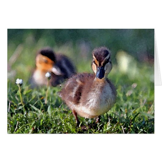 Duckling Cards (Front Horizontal)