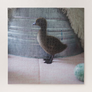 Duckling, Dark Brown Baby Duck Jigsaw Puzzle