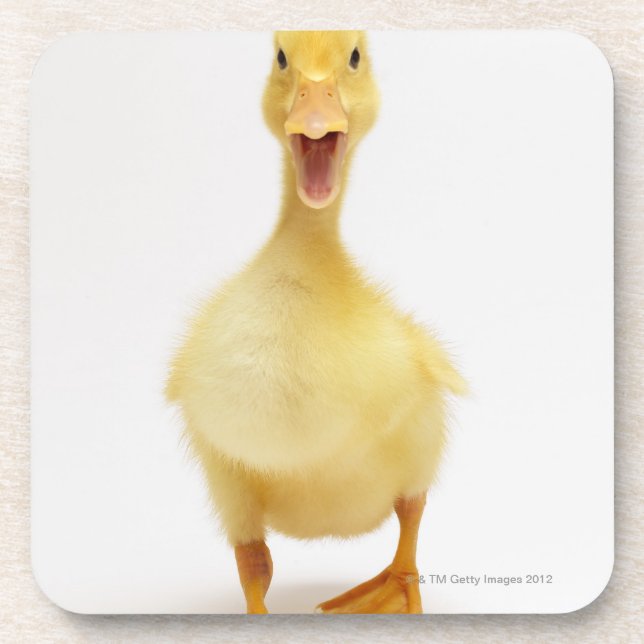 Duckling Drink Coaster (Front)