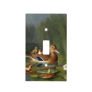 Duckling Duck Bird Animals Pond Light Switch Cover