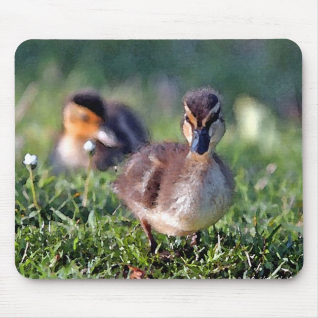 Duckling Mouse Pad (Front)