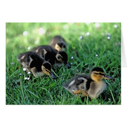 Duckling Parade Cards (Front Horizontal)