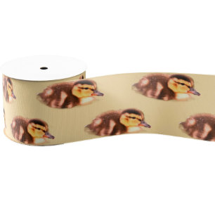Duckling Photo Ribbon