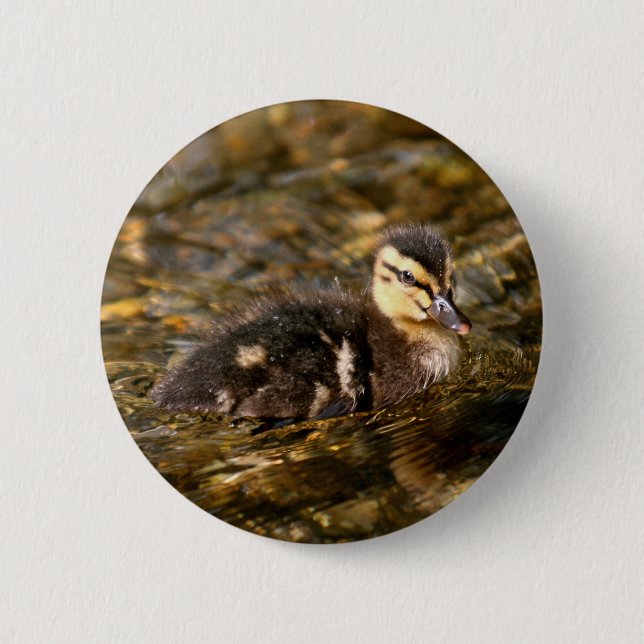 Duckling Pinback Button (Front)