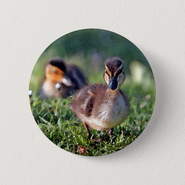 Duckling Pinback Button (Front)