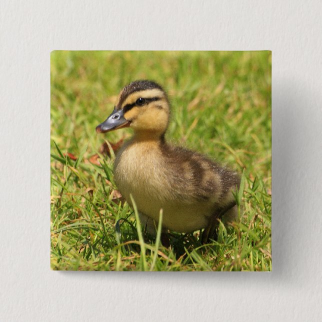 Duckling Pinback Button (Front)