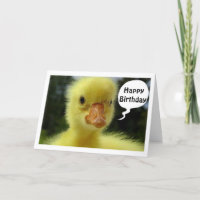 DUCKLING SAYS HOPE YOUR BIRTHDAY IS "JUST DUCKY"