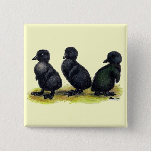 Ducklings Black Cayuga Pinback Button