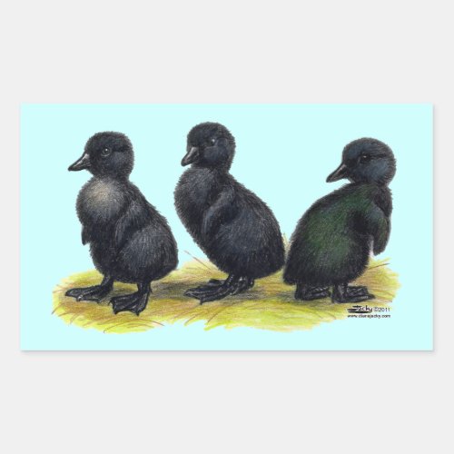 Ducklings Black Cayuga Rectangular Sticker