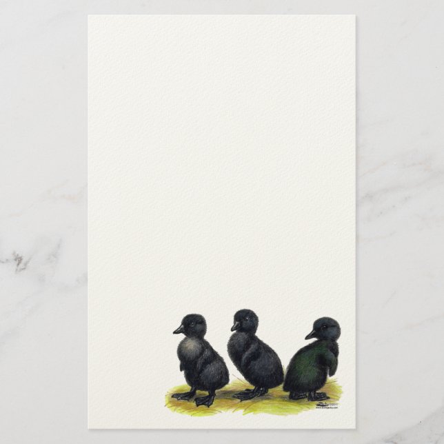 Ducklings Black Cayuga Stationery