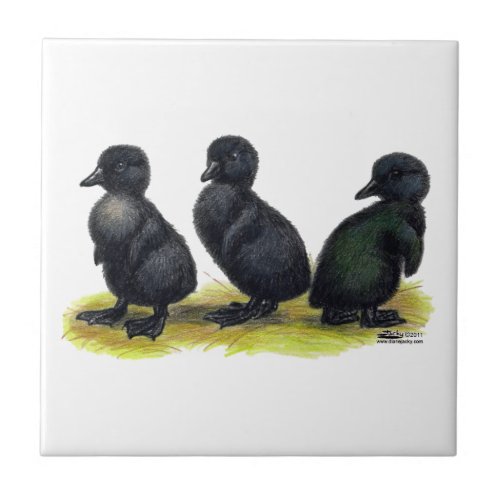 Ducklings Black Cayuga Tile